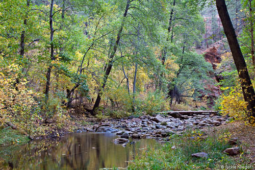 West Fork of Oak Creek begins to show it's Fall color