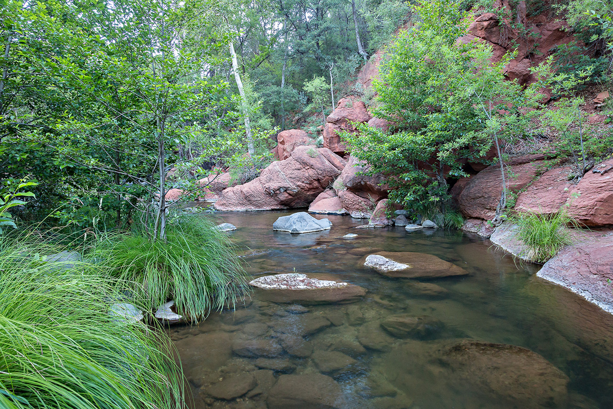 Sedona Oak Creek West Fork